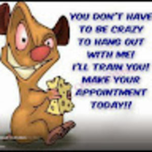 Meet your Posher, Joseph